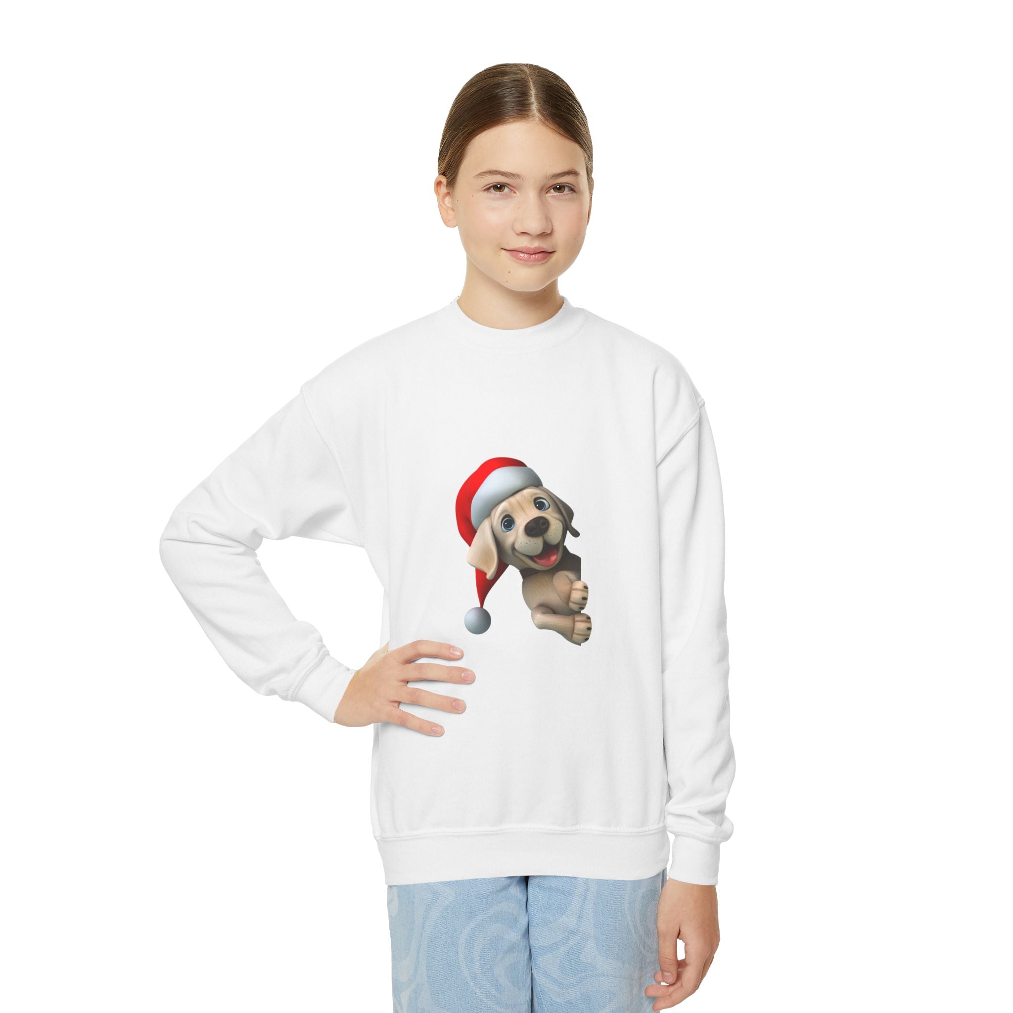 Dog Santa Claus Sweatshirt