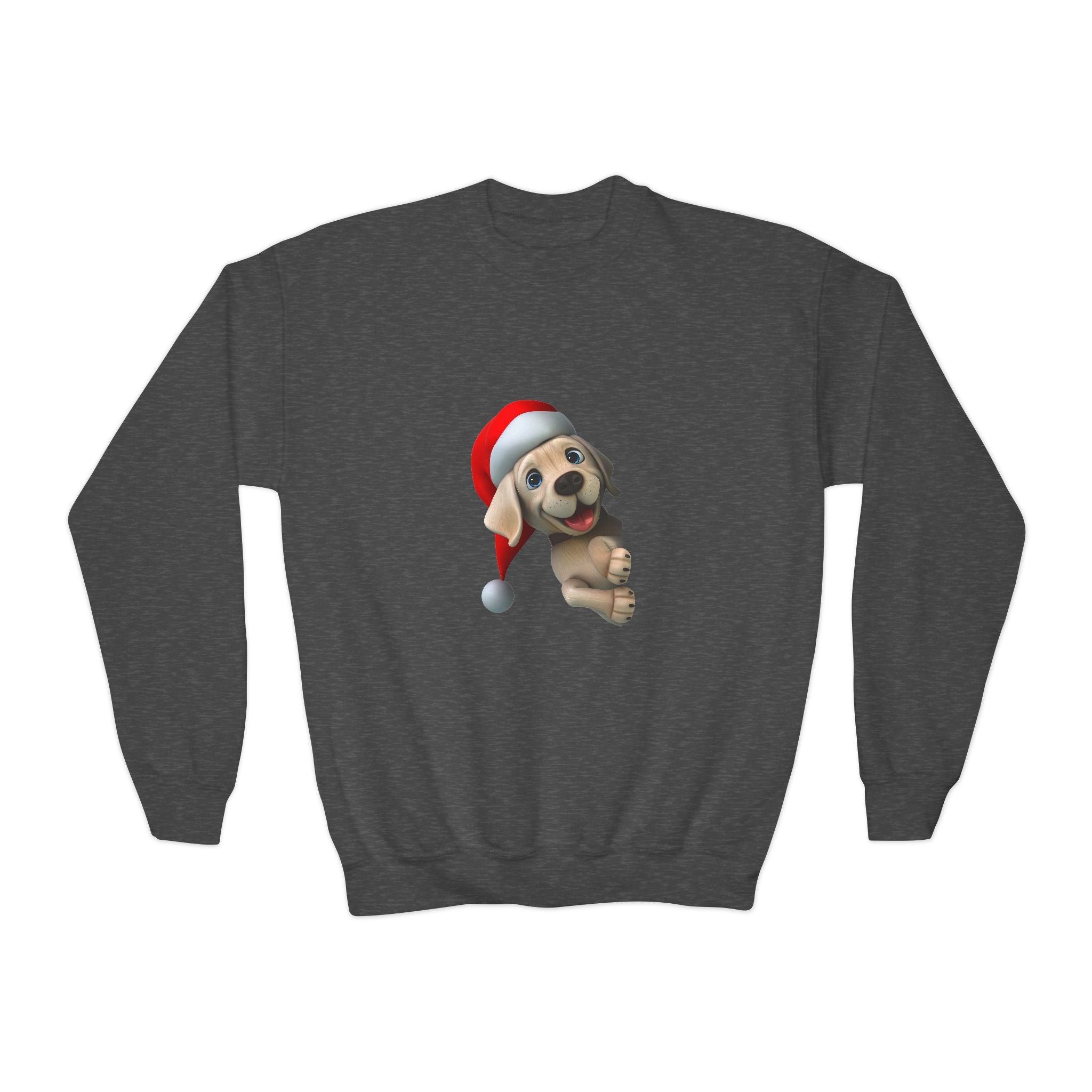 Dog Santa Claus Sweatshirt