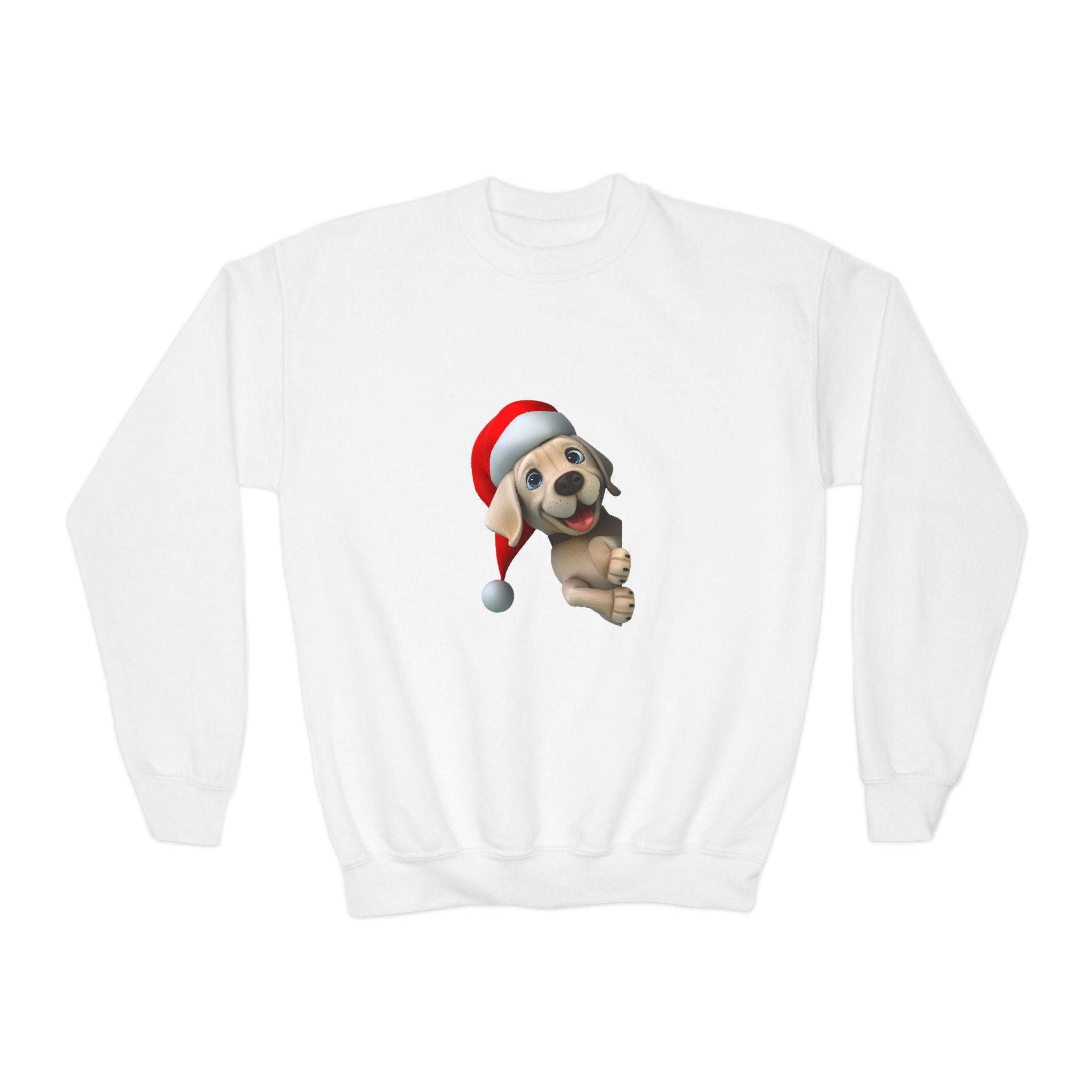 Dog Santa Claus Sweatshirt