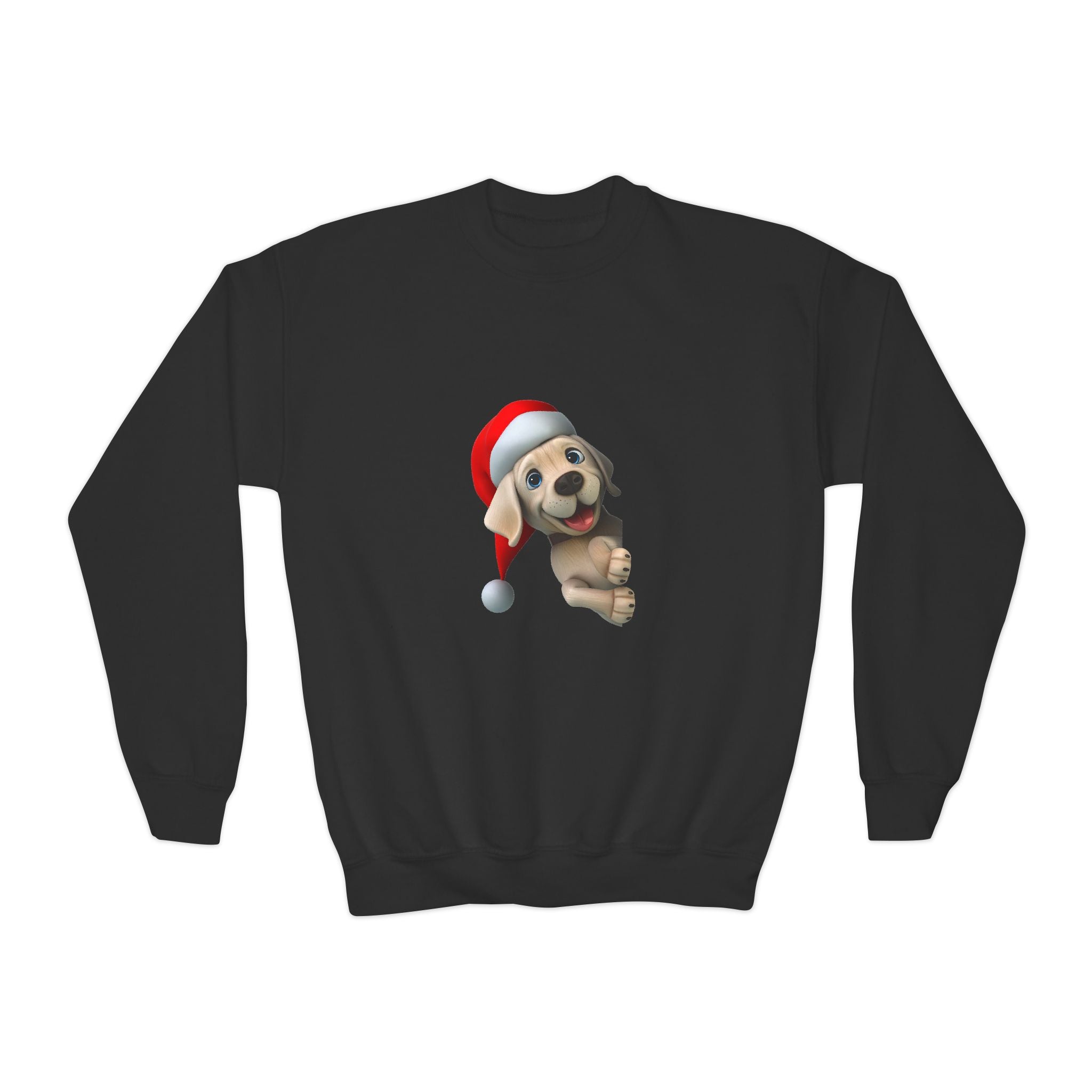 Dog Santa Claus Sweatshirt