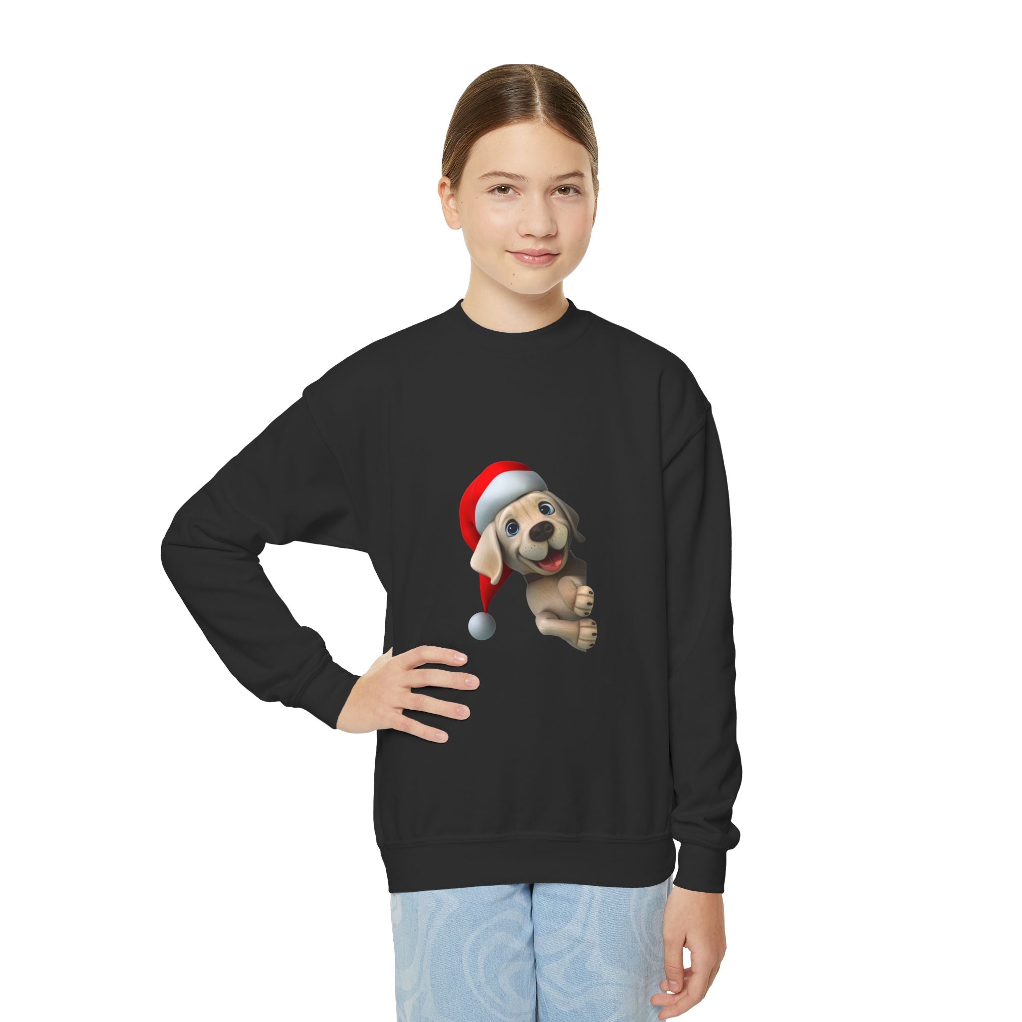 Dog Santa Claus Sweatshirt